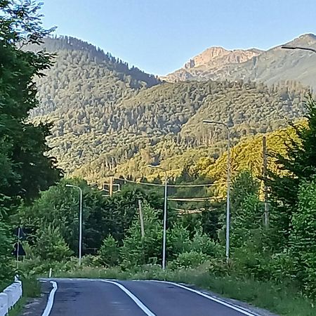Pensiunea Dates Cîrţişoara Εξωτερικό φωτογραφία