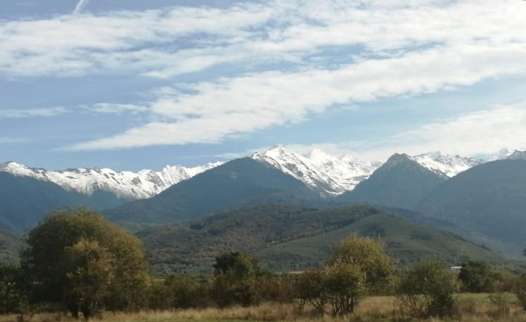 Pensiunea Dates Cîrţişoara Εξωτερικό φωτογραφία